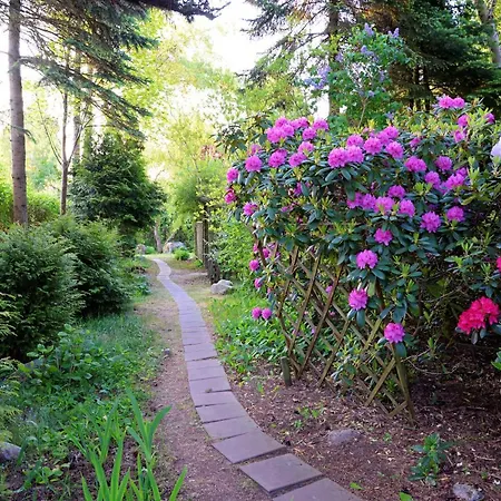 Ferienhaus Lesniczowka