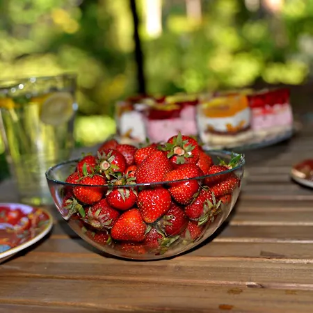 Lesniczowka * Białogóra